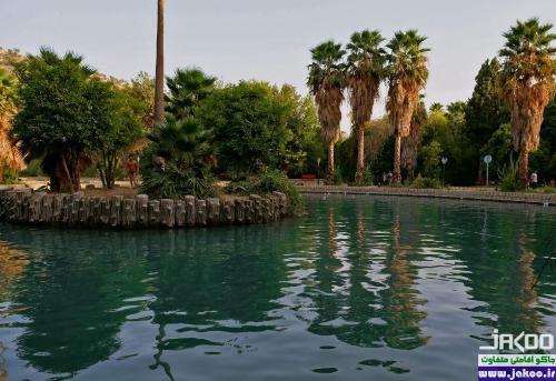 پوشش گیاهی متنوع باغ چشمه بلقیس