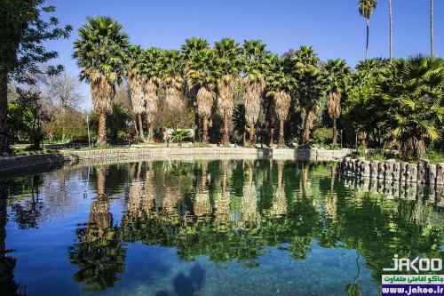  یکی از باغ‌های گیاه‌شناسی جهان به نام باغ چشمه بلقیس در ایران