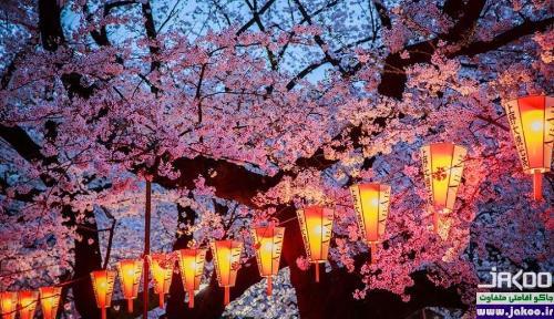 جشنواره بهاری در ژاپن