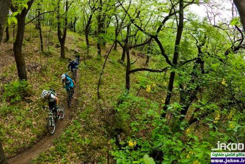 مهیج ترین تفریحات در کره جنوبی، تور دوچرخه سواری