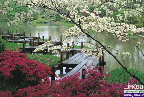 باغچه های لوکس و زیبای ژاپنی