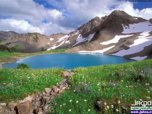 پایتخت طبیعت ایران با 70 درصد از جنگل های بلوط رشته کوههای زاگرس